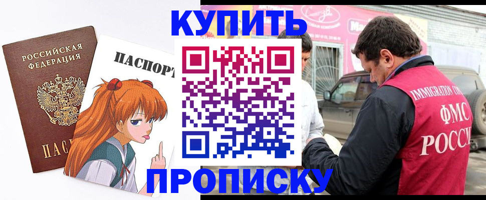 где прописаться в Бородино